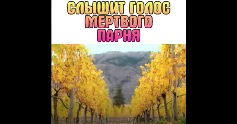 Слышит голос мертвого парня Слышит голос мертвого парня