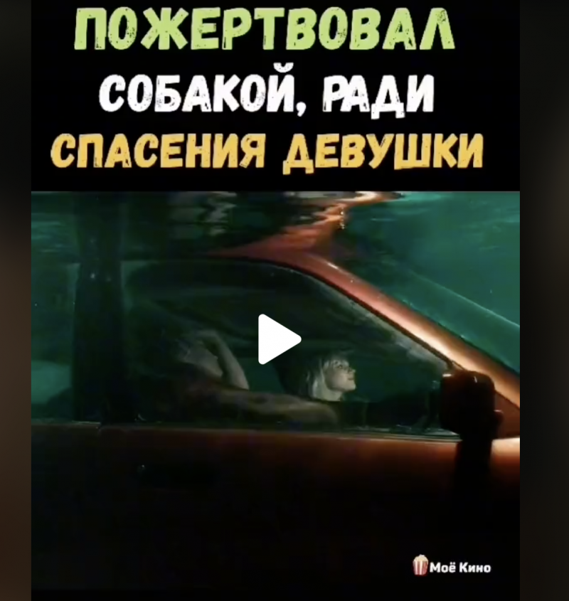 Пожертвовал собакой ради спасения девушки