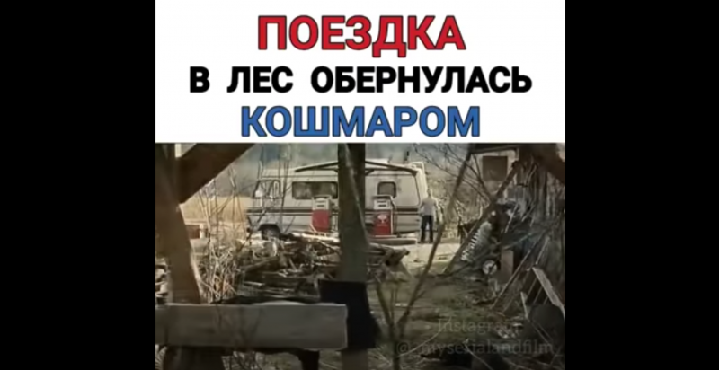 Поездка в лес обернулась кошмаром Поездка в лес обернулась кошмаром
