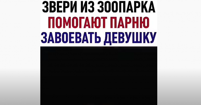 Звери из зоопарка помогают парню завоевать девушку Звери из зоопарка помогают парню завоевать девушку
