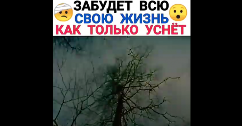 Забудет всю свою жизнь, как только уснёт Забудет всю свою жизнь, как только уснёт