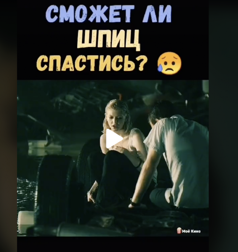 Сможет ли шпиц спастись